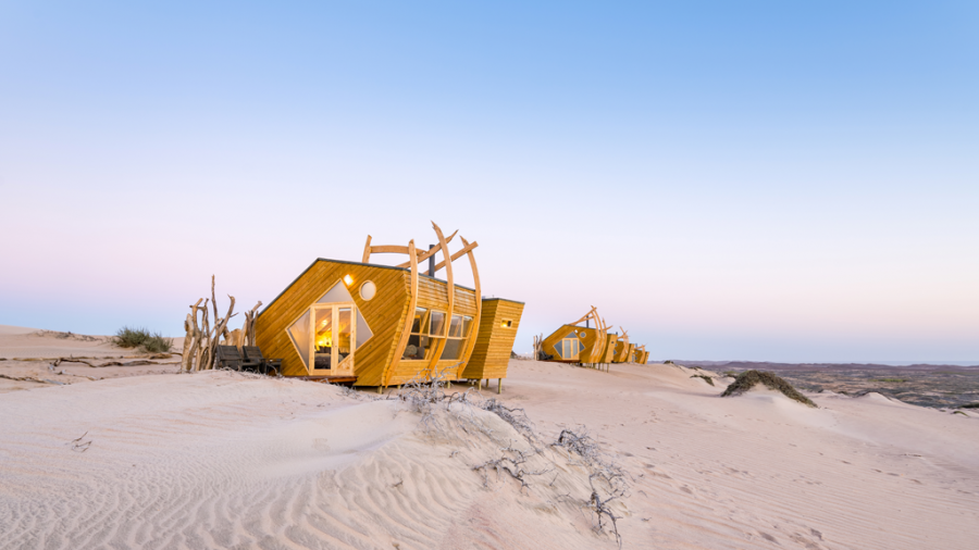 namibia, skeleton coast, shipwreck lodge, natural selection